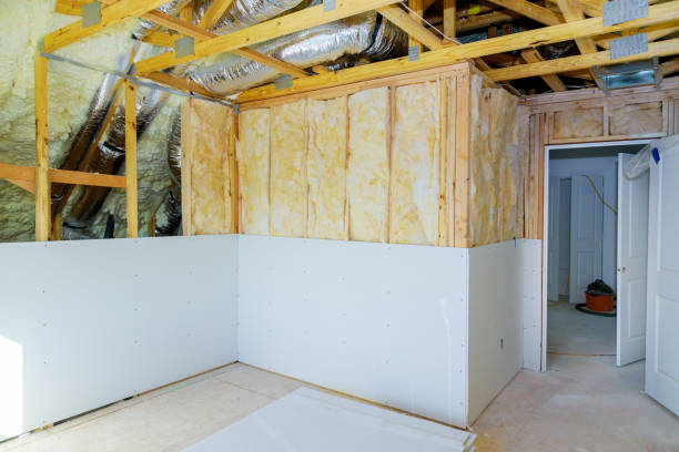 Best Batt and Roll Insulation  in Mount Plymouth, FL